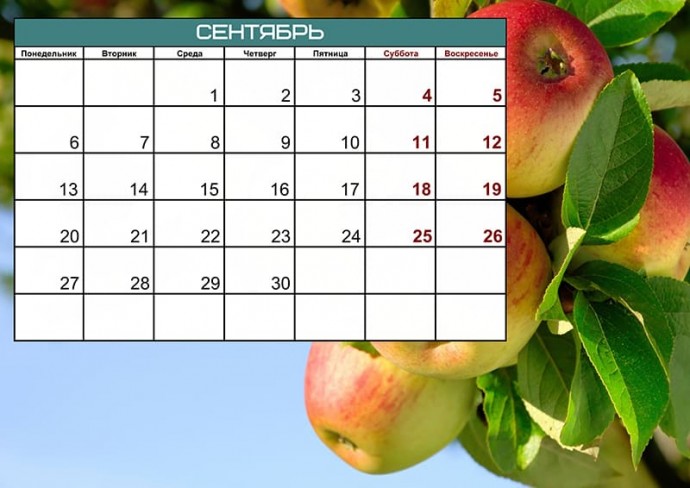 Июнь 2021 сколько дней. Календарь на август сентябрь 2021 года. Календарь на сентябрь 2021 года. Календарик красивый сентябрь 2021. Месяц сентябрь 2021.